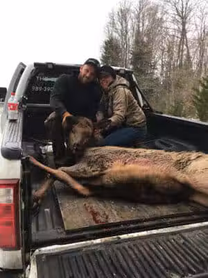 The Dog Outfitters - Millersburg, MI