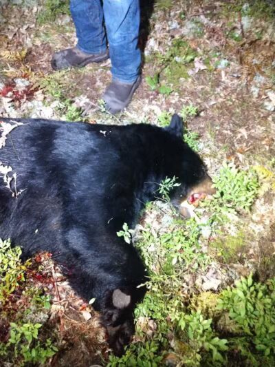 The Dog Outfitters - Millersburg, MI