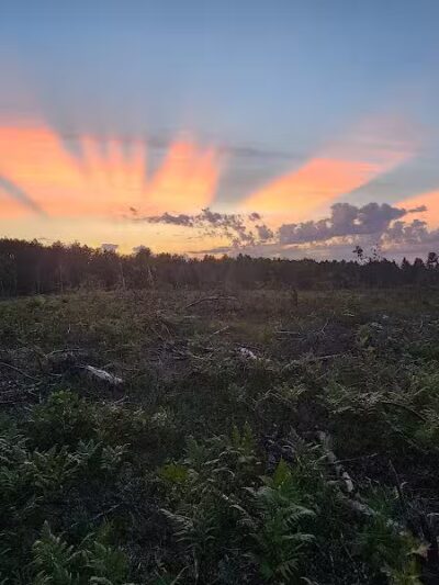 The Dog Outfitters - Millersburg, MI