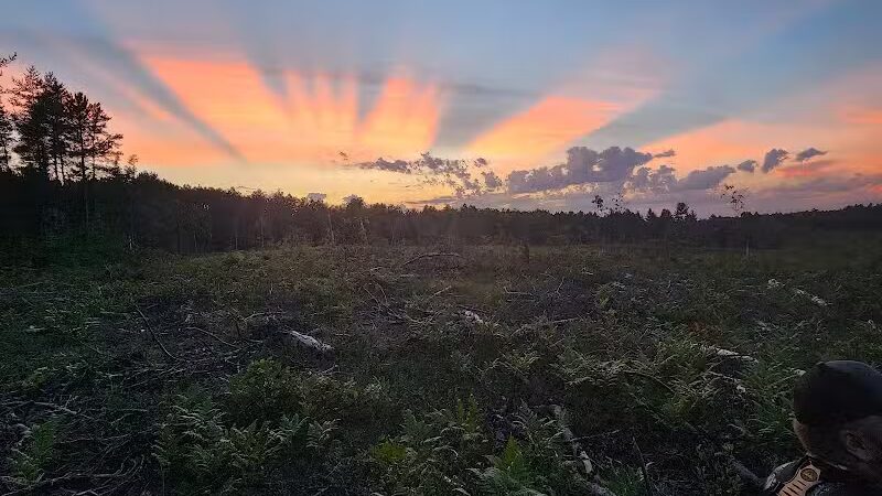 The Dog Outfitters - Millersburg, MI