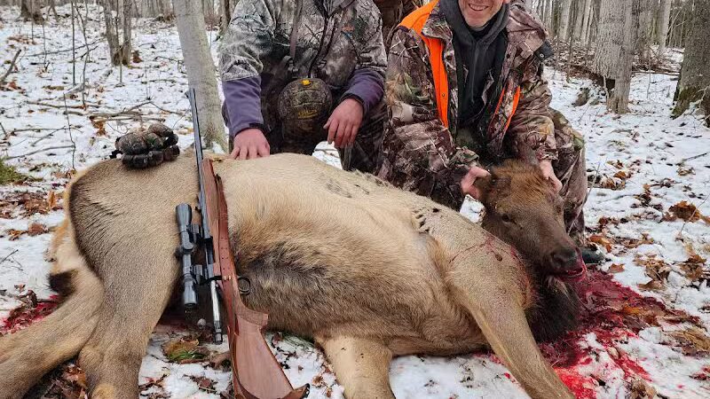 The Dog Outfitters - Millersburg, MI