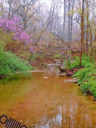 Millhousen - Millhousen, IN