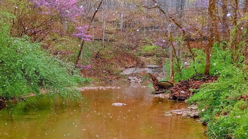 Millhousen - Millhousen, IN