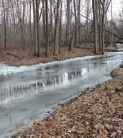 Arthur Latham Park - Millington,