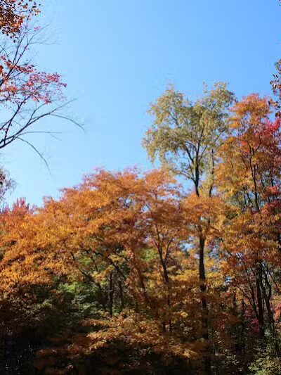 Arthur Latham Park - Millington,