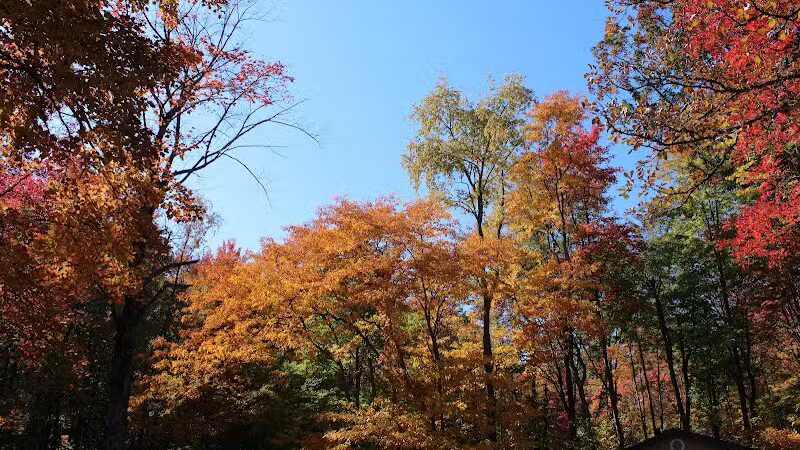 Arthur Latham Park - Millington,