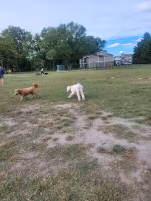 Millsboro Dog Park - Millsboro, DE
