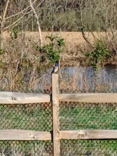 Millstone Park - Millstone, NJ