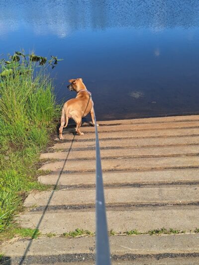 Millstone Park - Millstone, NJ