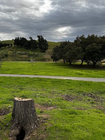 City of Milpitas Dog Park at Ed R. Levin - Milpitas, CA