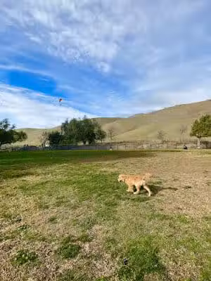 City of Milpitas Dog Park at Ed R. Levin - Milpitas, CA