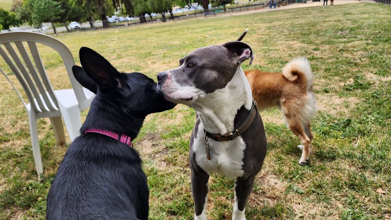 City of Milpitas Dog Park at Ed R. Levin - Milpitas, CA