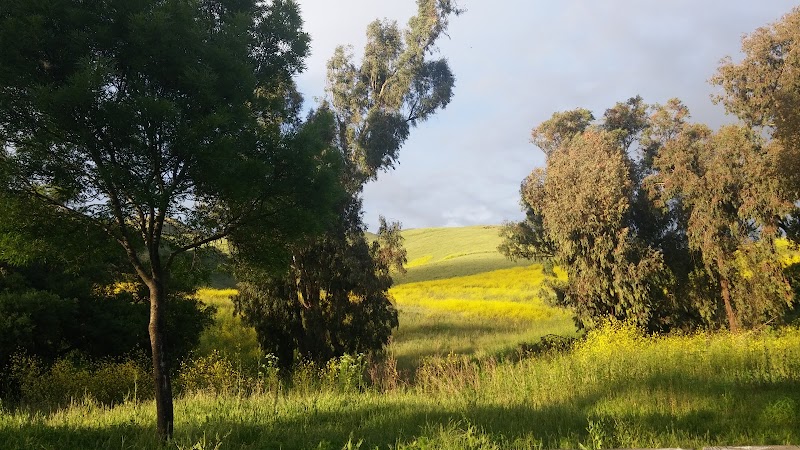 City of Milpitas Dog Park at Ed R. Levin - Milpitas, CA