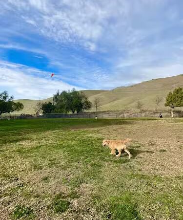 City of Milpitas Dog Park at Ed R. Levin - Milpitas, CA