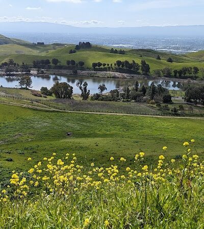 Ed R. Levin County Park - Milpitas, CA