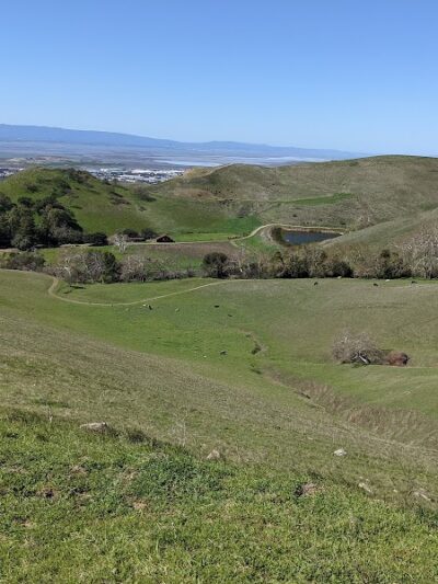 Ed R. Levin County Park - Milpitas, CA