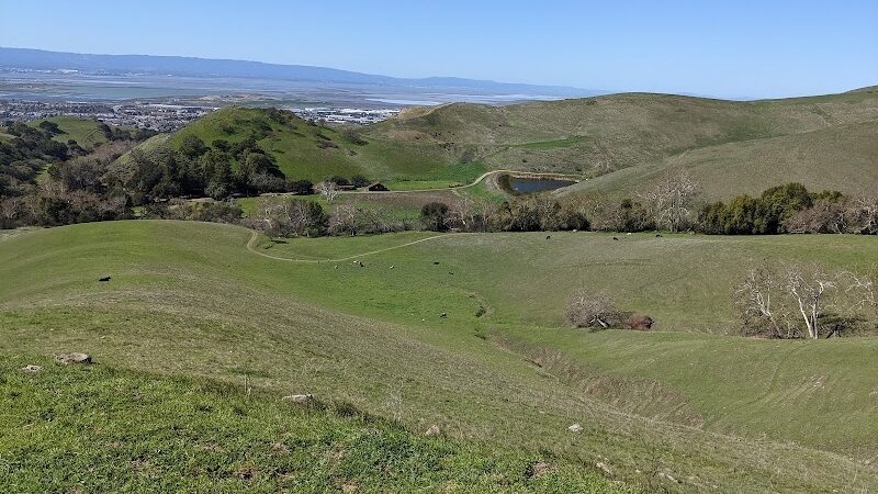 Ed R. Levin County Park - Milpitas, CA