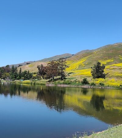 Ed R. Levin County Park - Milpitas, CA
