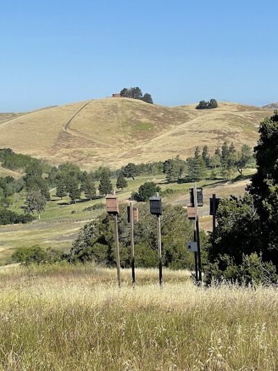 Ed R. Levin County Park - Milpitas, CA