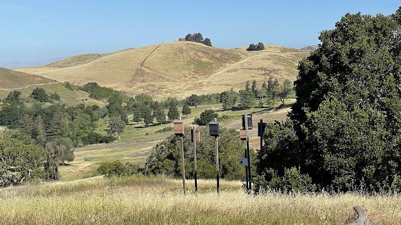 Ed R. Levin County Park - Milpitas, CA