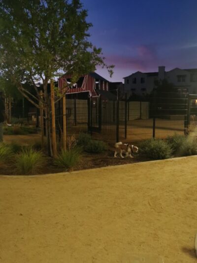 Small Dog park - Milpitas, CA