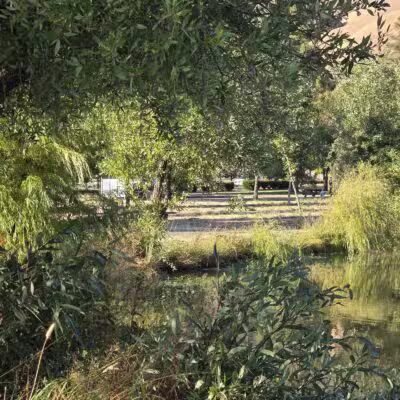Ed R. Levin County Park - Milpitas, CA
