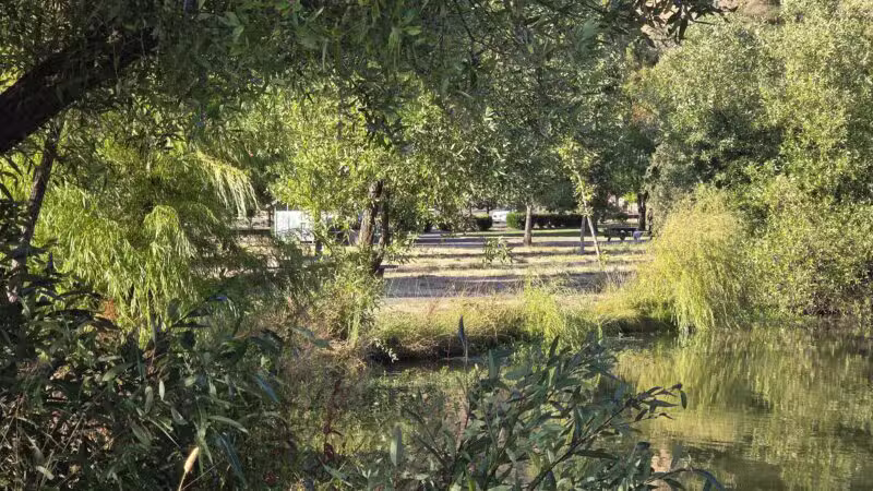 Ed R. Levin County Park - Milpitas, CA