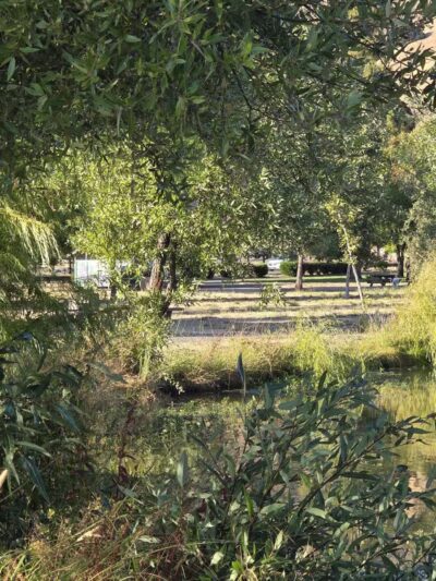 Ed R. Levin County Park - Milpitas, CA