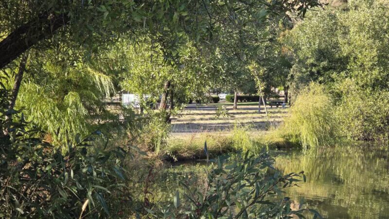 Ed R. Levin County Park - Milpitas, CA