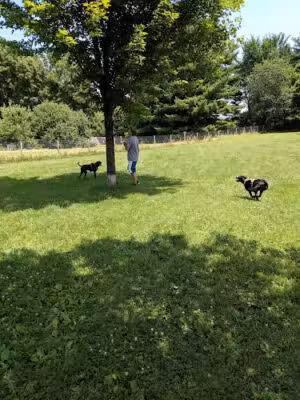 Tails & Trails Dog Park - Milton, WI