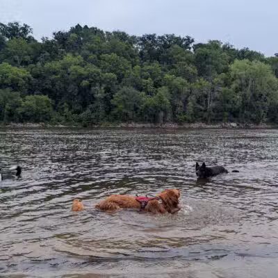Minnehaha Dog Park - Minneapolis, MN