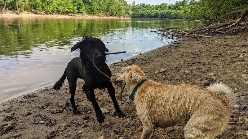 Minnehaha Dog Park - Minneapolis, MN