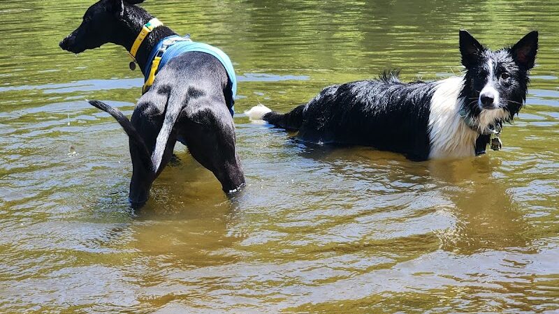 Minnehaha Dog Park - Minneapolis, MN