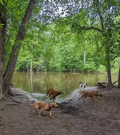 Minnehaha Dog Park - Minneapolis, MN