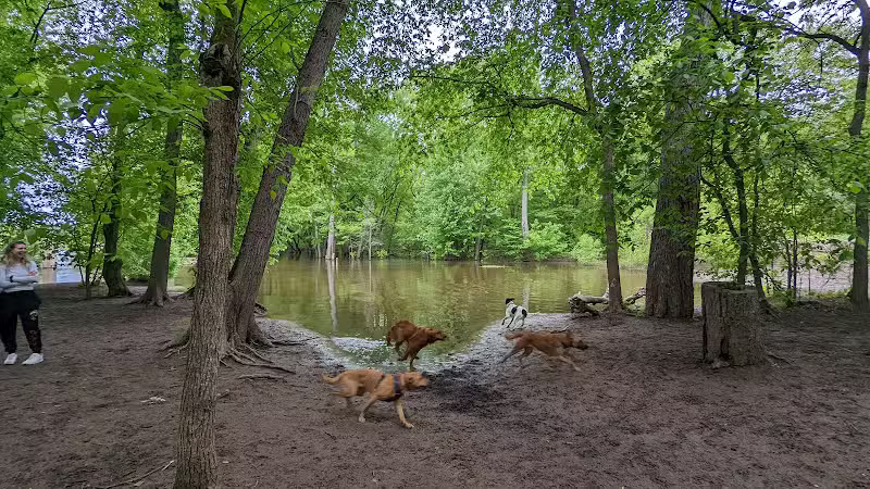 Minnehaha Dog Park - Minneapolis, MN