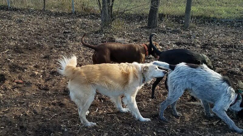 St. Anthony Parkway Off-Leash Dog Park - Minneapolis, MN