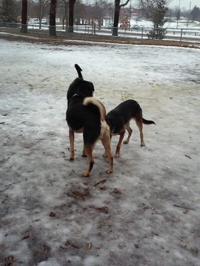 St. Anthony Parkway Off-Leash Dog Park - Minneapolis, MN