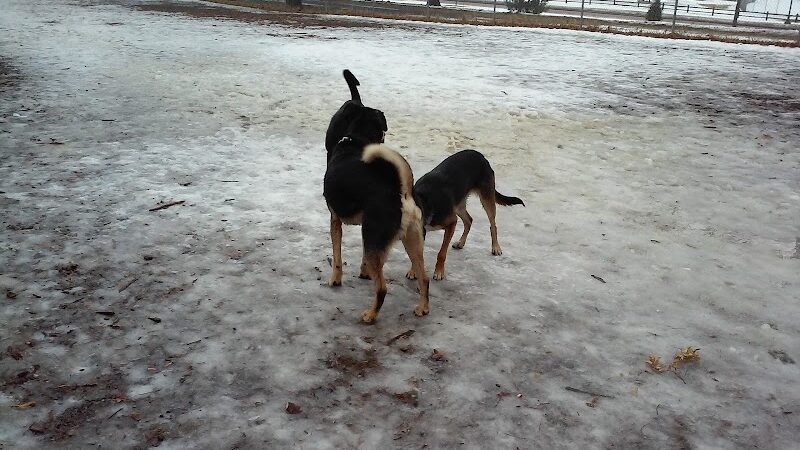 St. Anthony Parkway Off-Leash Dog Park - Minneapolis, MN