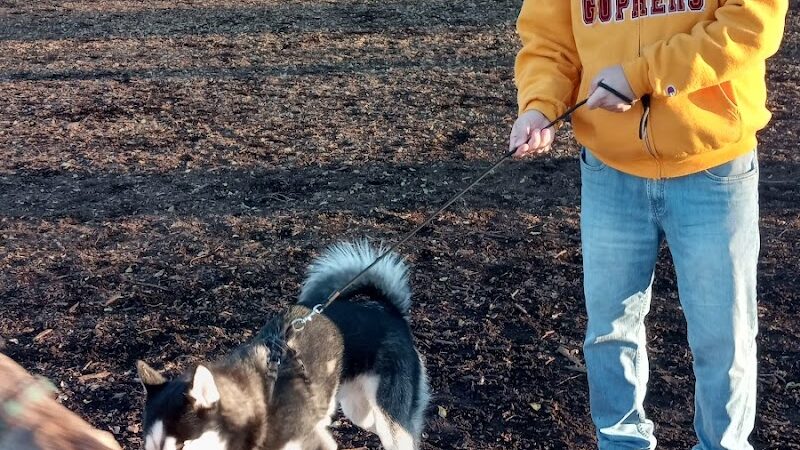 St. Anthony Parkway Off-Leash Dog Park - Minneapolis, MN