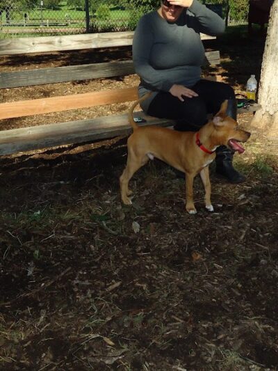 St. Anthony Parkway Off-Leash Dog Park - Minneapolis, MN