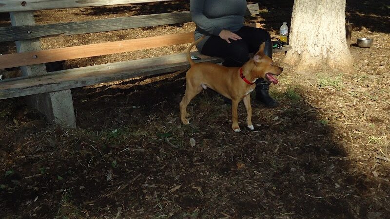 St. Anthony Parkway Off-Leash Dog Park - Minneapolis, MN