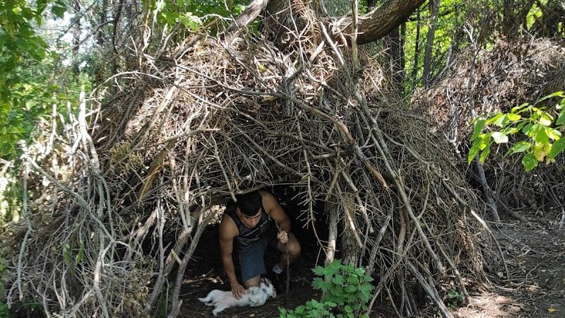 Victory Prairie Off-Leash Recreation Area - Minneapolis, MN