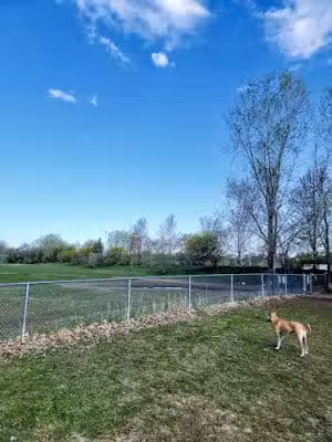 Victory Prairie Off-Leash Recreation Area - Minneapolis, MN