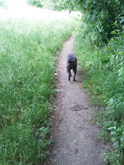 Victory Prairie Off-Leash Recreation Area - Minneapolis, MN