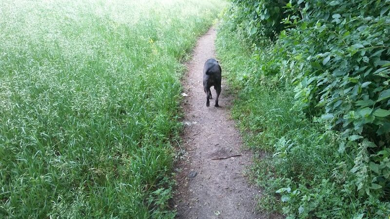 Victory Prairie Off-Leash Recreation Area - Minneapolis, MN