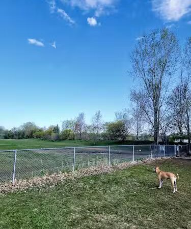 Victory Prairie Off-Leash Recreation Area - Minneapolis, MN