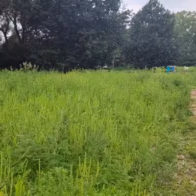 Victory Prairie Off-Leash Recreation Area - Minneapolis, MN