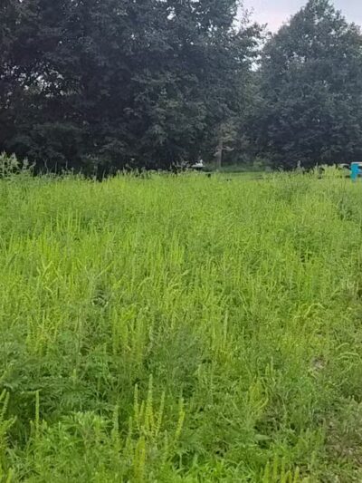 Victory Prairie Off-Leash Recreation Area - Minneapolis, MN
