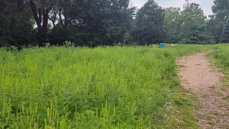 Victory Prairie Off-Leash Recreation Area - Minneapolis, MN