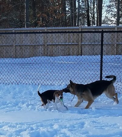 Lakeland Area Dog Park - Minocqua, WI